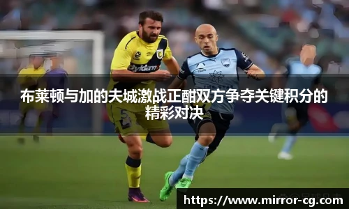 布莱顿与加的夫城激战正酣双方争夺关键积分的精彩对决
